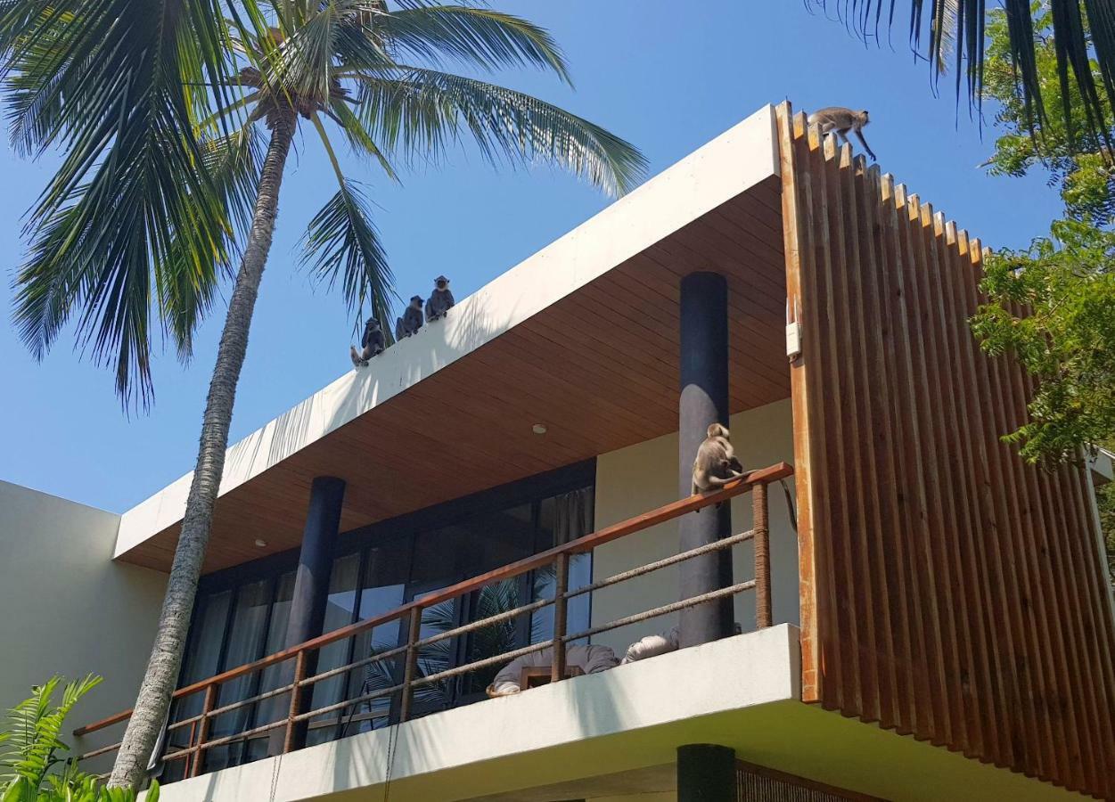 Lankavatara Ocean Retreat & Spa Tangalle Luaran gambar
